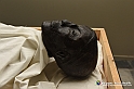 VBS_5261 - Tutankhamon - Viaggio verso l'eternità
